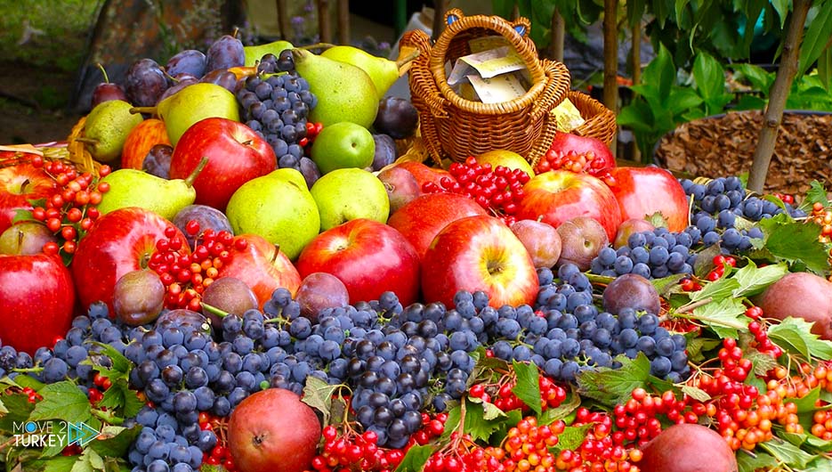 صنایع تولیدی و بازرگانی فرقان نوین پارس